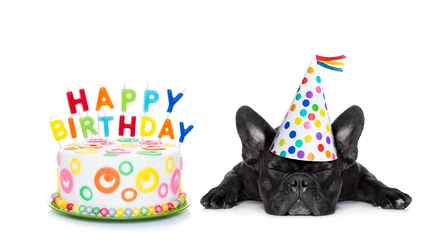 Photo sur Plexiglas Chien fou joyeux anniversaire chien qui dort