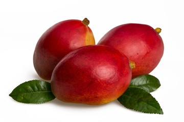 Mango, Tropical Climate, Fruit.