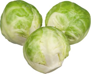 Fototapeta premium Brussels Sprout, Vegetable, Group of Objects.