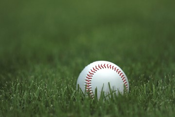 Baseball, Baseball Diamond, Grass.