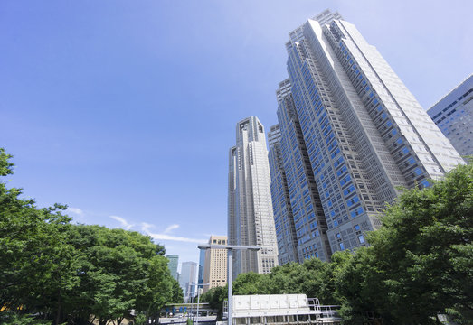 東京都庁と新宿高層ビル群　晴天と緑