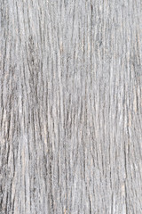 Wood Texture 01