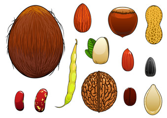 Realistic nuts, seeds and beans in cartoon style