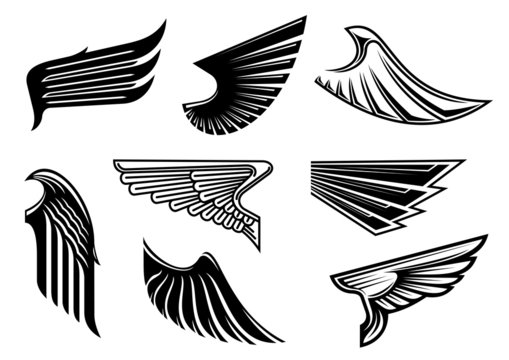 Naklejka Black heraldic and tribal wings elements