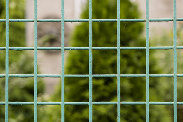 Green new metal grille fence macro and nature background