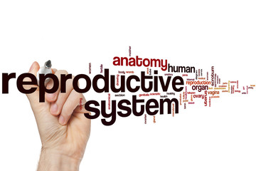 Reproductive system word cloud
