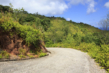 Fototapeta na wymiar Scenic road on Mount Zimbvabve.