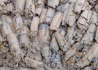 Clay Texture for Background