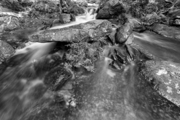weir on the river black and white