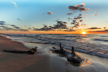 Obraz premium Driftwood on a Lake Huron Beach at Sunset