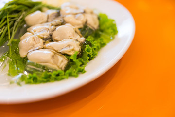 Fresh oysters in a white plate