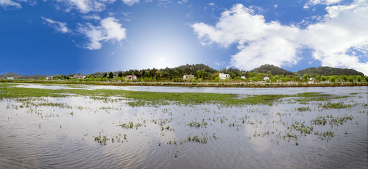 Fototapete bei efototapeten.de bestellen   