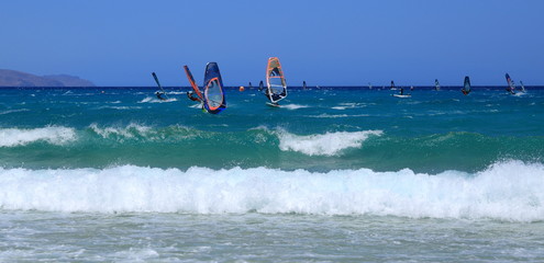 compétition de windsurf aux canaries