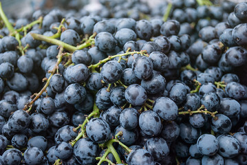 image of Grape, background for used