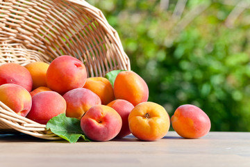 juicy ripe apricots