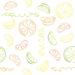 Citrus slices seamless pattern on white background.