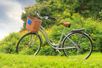 Fototapeta premium Bicycles in the park