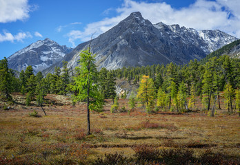 Tunkinskie loaches Eastern Sayan in early autumn