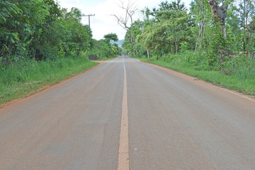 Fototapeta na wymiar asphalt road through the countryside