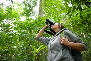 Tourist looking through binoculars considers wild birds in the j