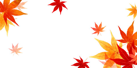 もみじ　紅葉　背景