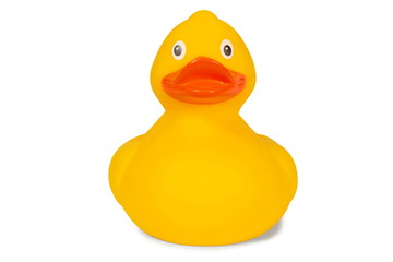 Rubber duck