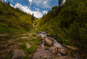 Beautiful small waterfall In Mountains, Ukraine.