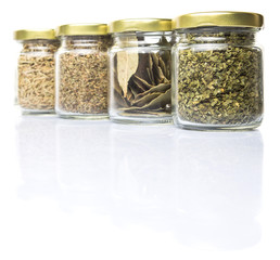 Herbs variety of rosemary, parsley, bay leaves and thyme in mason jars 