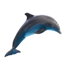 Fotobehang springende dolfijn op wit © neirfy