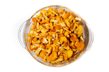 Yellow chanterelle
