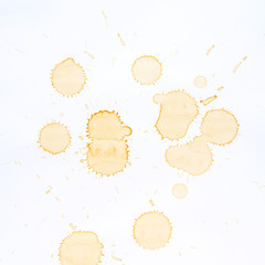 Coffee Stains and coffee cup stains on white background.