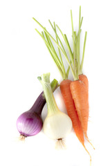 Carrot and onion