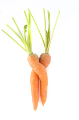 Carrots