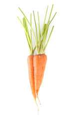 Carrots