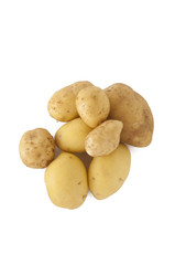 Potato