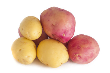 Potato