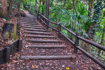 日本の里山のハイキング道