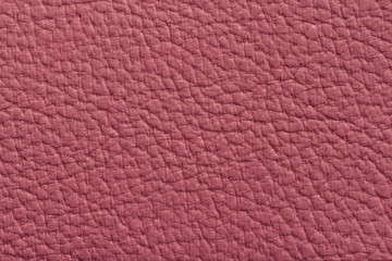 Leather texture or background
