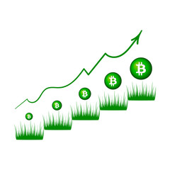 Bitcoin money green stairs up, hand the growth of green grass