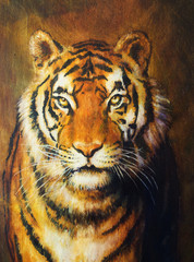  tiger head, color oil painting on canvas.