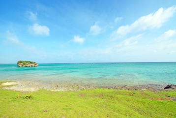 Beautiful sea and green shore, Okinawa, Japan
