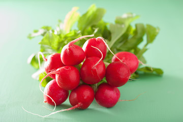 fresh radish with leaves over green background