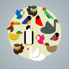 Birds vector illustration