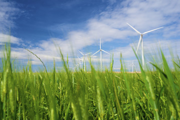Obraz premium Wind energy