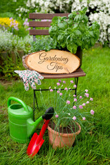Gardening Tips 