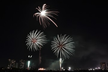 花火の祭典(東京都大田区)