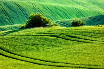 Moravian rolling landscape