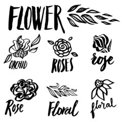 Set of vector floral design elements