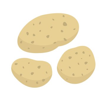 Potatoes vector
