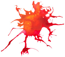 Unusual traced vector watercolor splatter. 